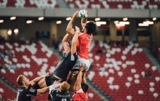 24看球直播网-世俱杯主视觉更新揭秘，设计趋势全面分析