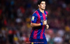 24看球直播网-马拉多纳与欧冠历史的关联及其体育传奇地位