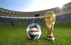 24看球直播网-世俱杯官方动态与赛场实时新闻合集