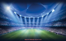 24看球直播网-意甲各球队主场介绍及球场特色盘点