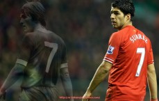 24看球直播网-意甲中游球队球员年薪情况对比