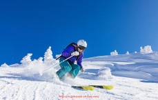 24看球直播网-2014年欧冠半决赛精彩赛事及体育竞技分析